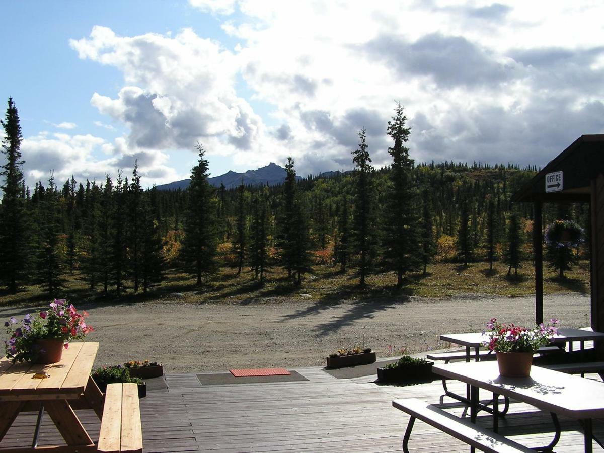 White Moose Lodge Healy Dış mekan fotoğraf