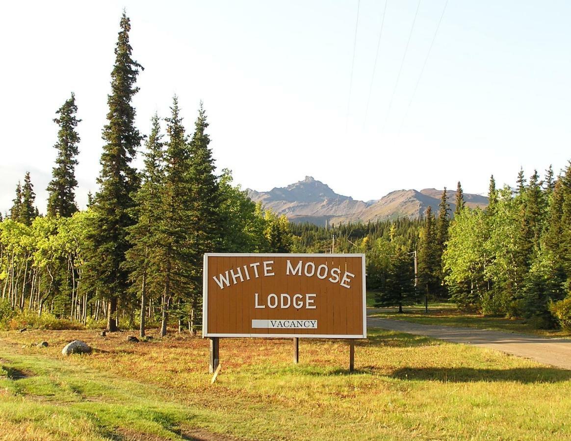 White Moose Lodge Healy Dış mekan fotoğraf