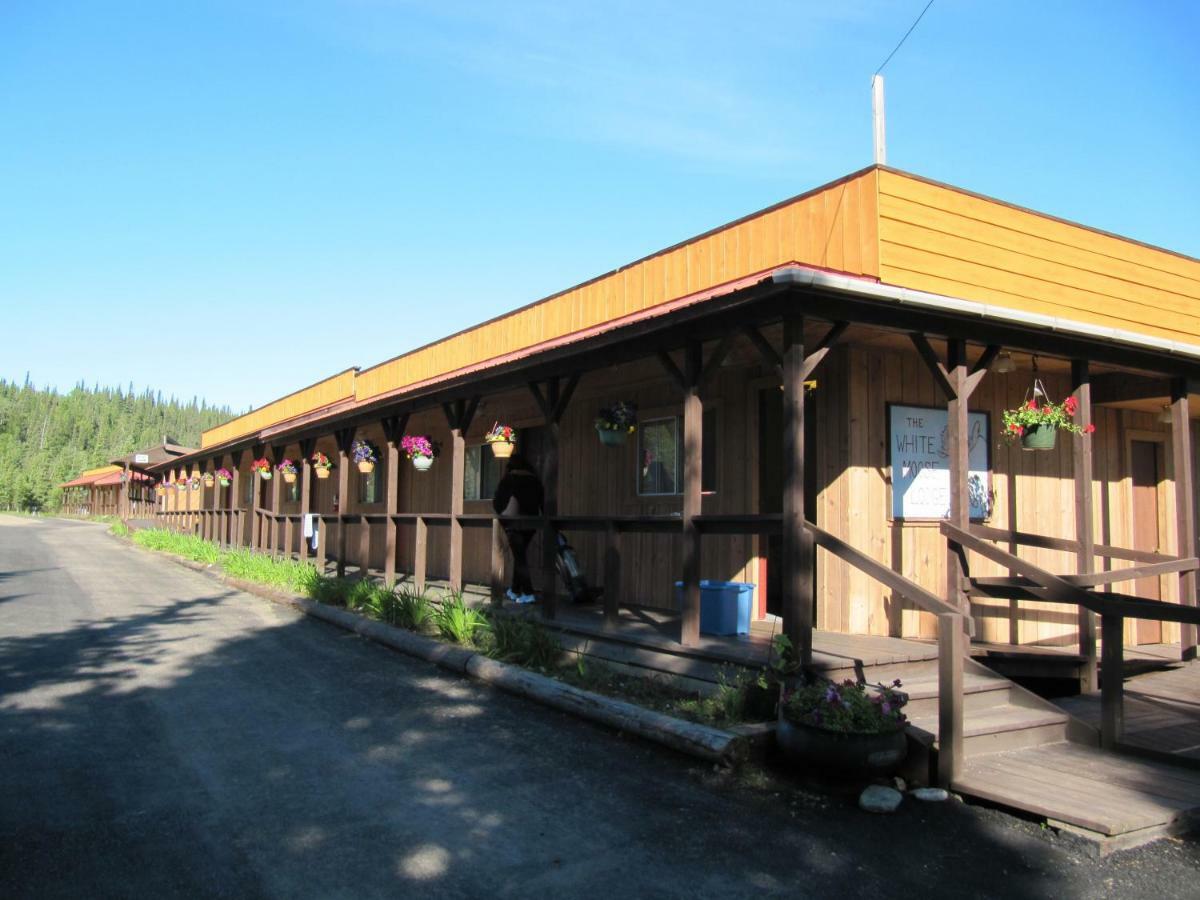 White Moose Lodge Healy Dış mekan fotoğraf