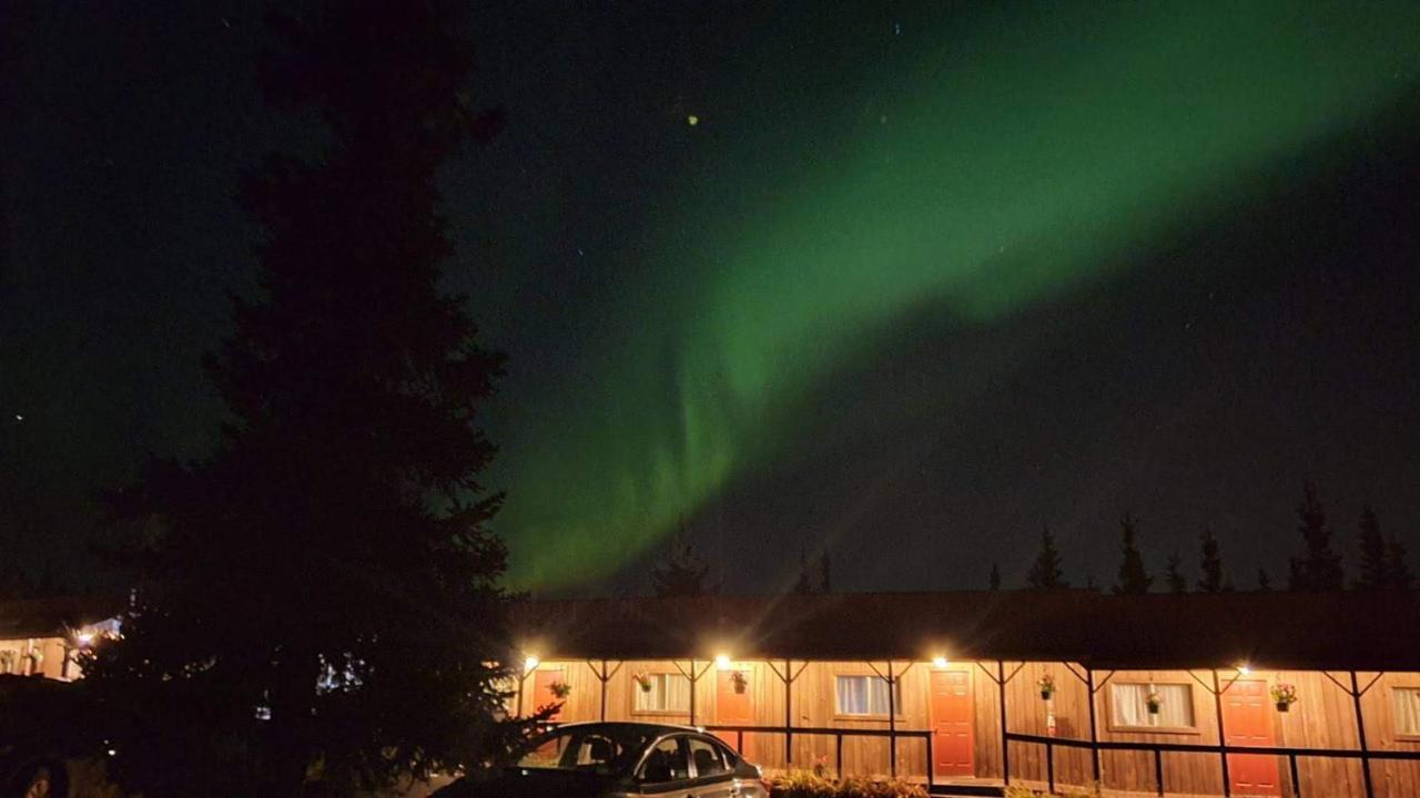 White Moose Lodge Healy Dış mekan fotoğraf