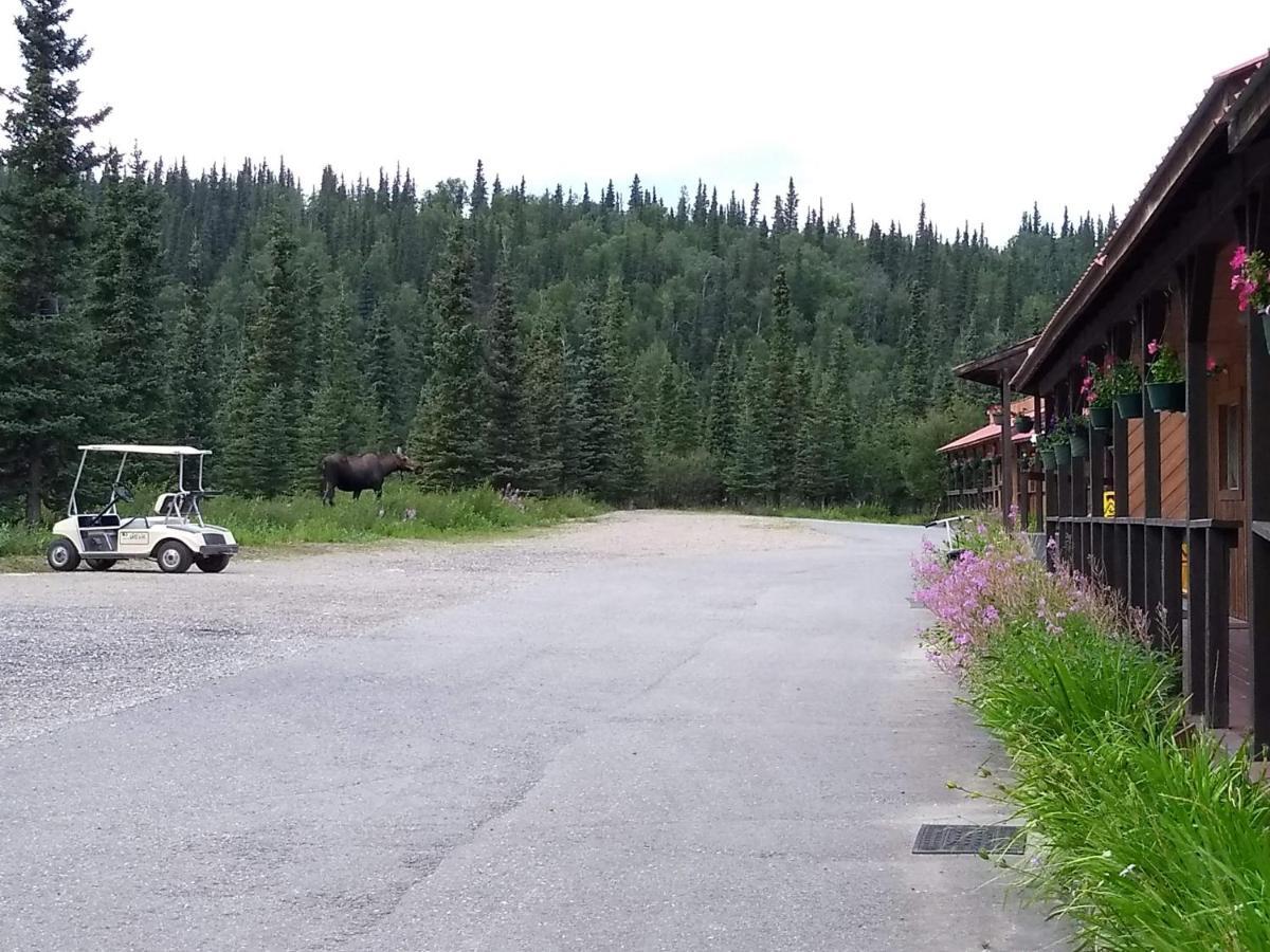 White Moose Lodge Healy Dış mekan fotoğraf